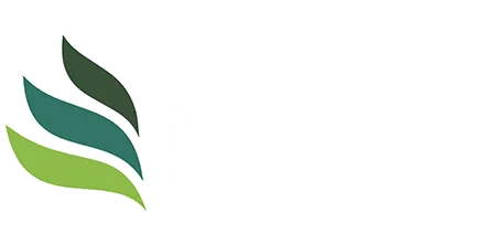 Tax Accountant Mississauga | Taxvisors.ca