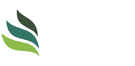 Tax Accountant Mississauga | Taxvisors.ca